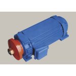 Three phase electrical motors